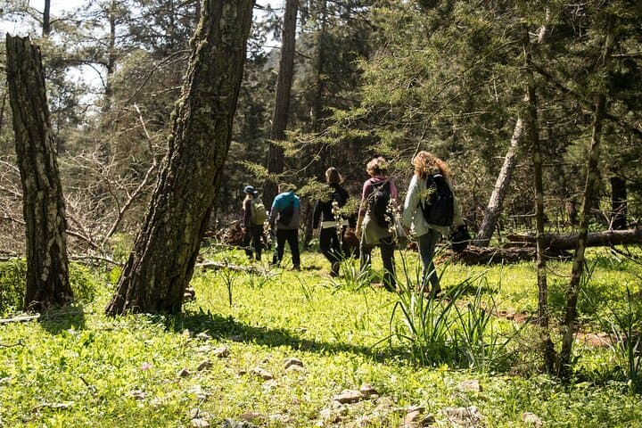 Mount Akramitis Winter Hike — Monolithos to the 360° Summit photo 4