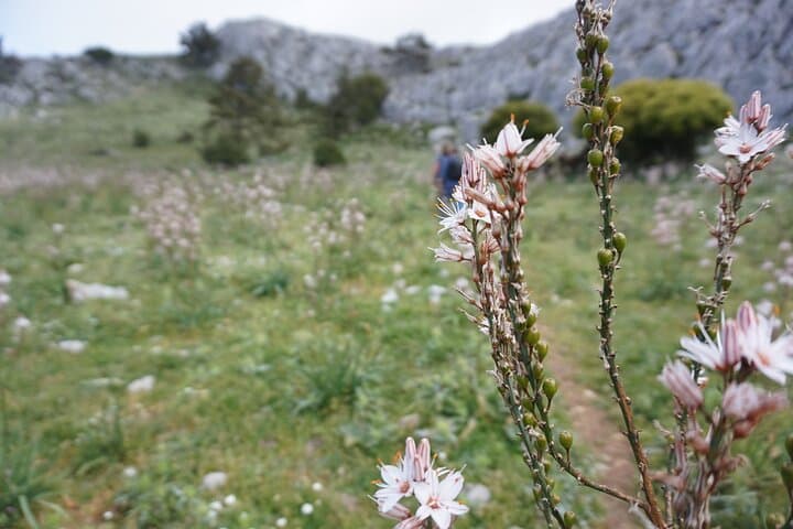 Mount Akramitis Winter Hike — Monolithos to the 360° Summit photo 5