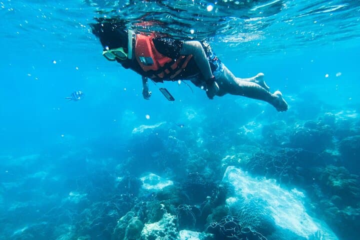 Small Group Snorkeling in Hikkaduwa: Explore Coral Gardens & Shallow Reefs photo 6