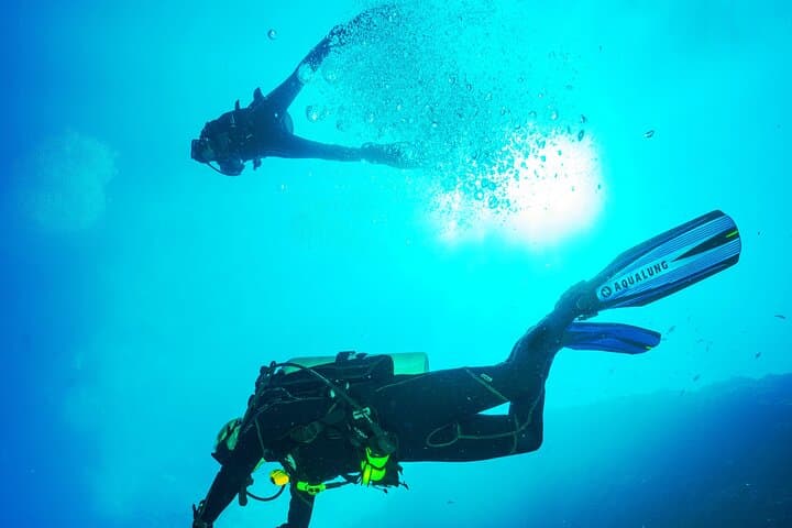 Hikkaduwa Scuba Diving: Wrecks, Coral Reefs & Rays on Sri Lanka's Southwest Coast photo 5
