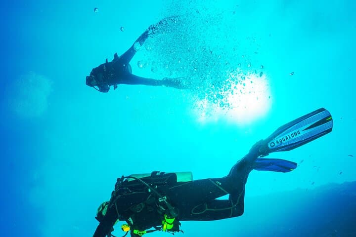 Wreck Diving Colombo: Explore Historic Shipwrecks and Vibrant Reefs photo 6