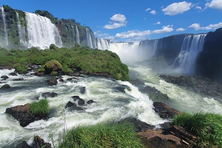 Brazilian Falls & Bird Park: Private One-Day Iguacu Tour photo 3