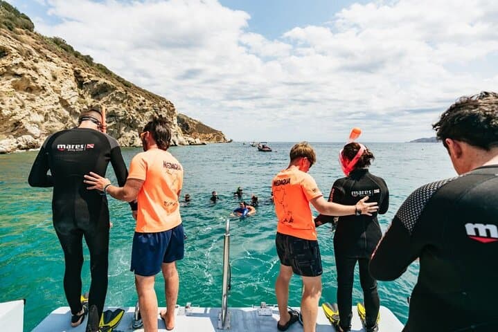 Eco Snorkeling in the Medes Islands Marine Reserve — Guided Boat Tour from L'Estartit photo 6