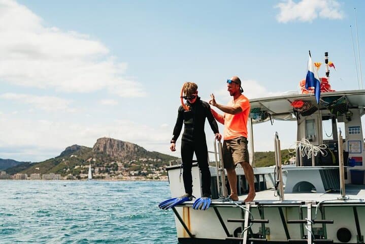 Eco Snorkeling in the Medes Islands Marine Reserve — Guided Boat Tour from L'Estartit photo 5