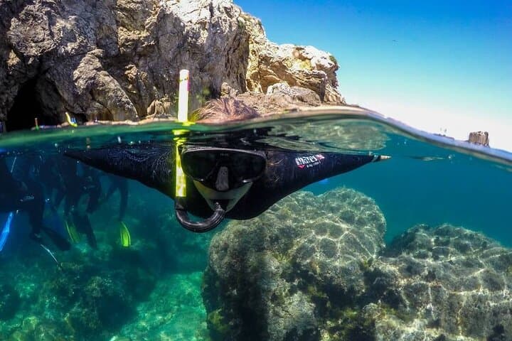 Eco Snorkeling in the Medes Islands Marine Reserve — Guided Boat Tour from L'Estartit