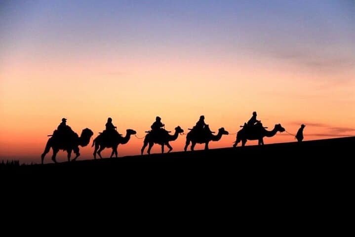Doha City and Desert Safari Combo Tour: City Sights, Dune Bashing & Inland Sea photo 4