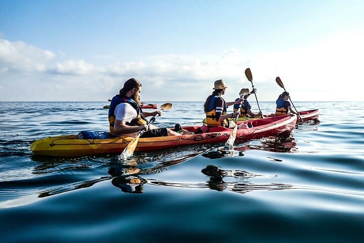 Guided Kayak Tour to St Paul's Island from Mistra Bay photo 4