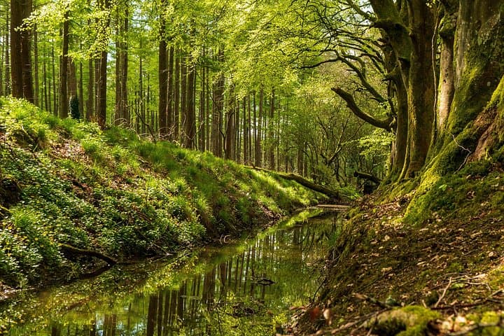 Dublin to Wicklow & Glendalough Day Trip — Powerscourt, Lough Tay & Sally Gap photo 4