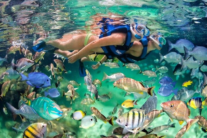 Punta Cana Catamaran Party with Natural Pools & Open Bar photo 4