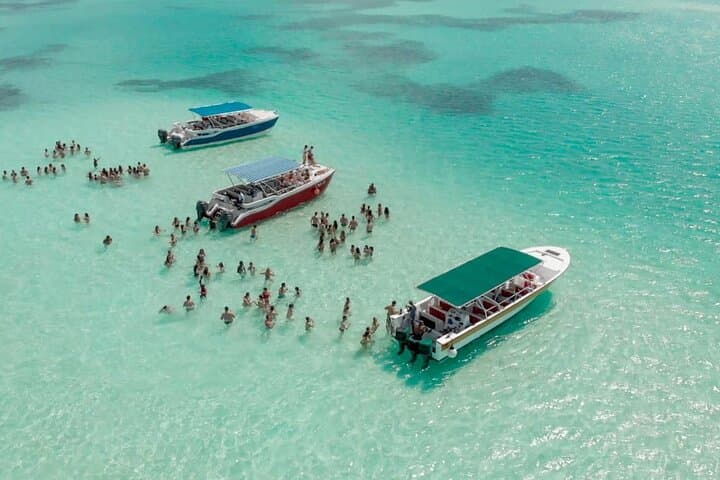 Saona Island Day Trip from Punta Cana — Catamaran, Natural Pool & Beach Lunch