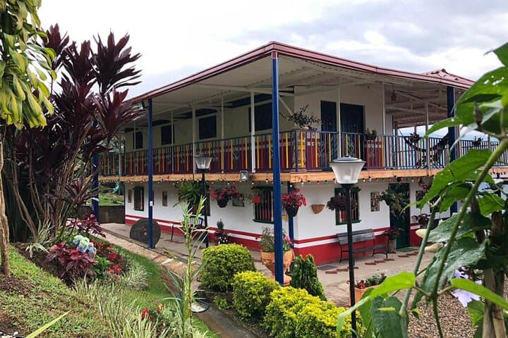 Coffee Farm and Salento Walking Tour — Plant, Pick and Taste in Colombia’s Coffee Triangle photo 6
