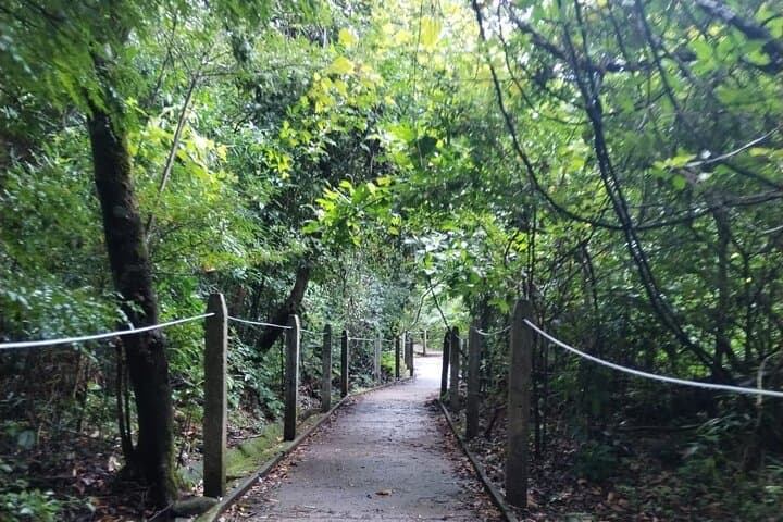 Half-Day Hike on the Pailas Trail — Rincón de la Vieja Volcano Experience photo 3