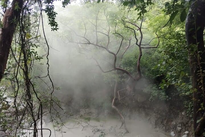 Half-Day Hike on the Pailas Trail — Rincón de la Vieja Volcano Experience photo 6