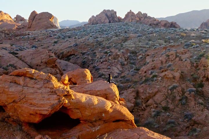 Quiet Among Pines: Guided Mountain Meditation at Little Dell, Utah