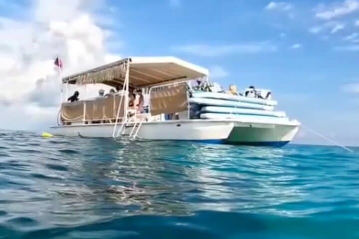 Private Miami Yacht Snorkel: Sandbars, Skyline & Star Island photo 6