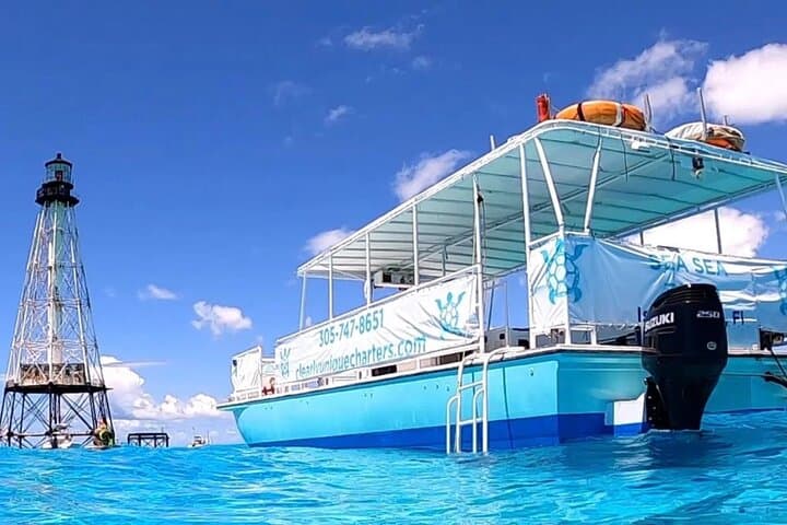 Private Miami Yacht Snorkel: Sandbars, Skyline & Star Island photo 4