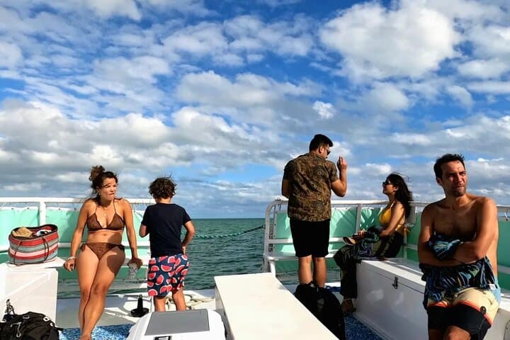 Private Miami Yacht Snorkel: Sandbars, Skyline & Star Island photo 5