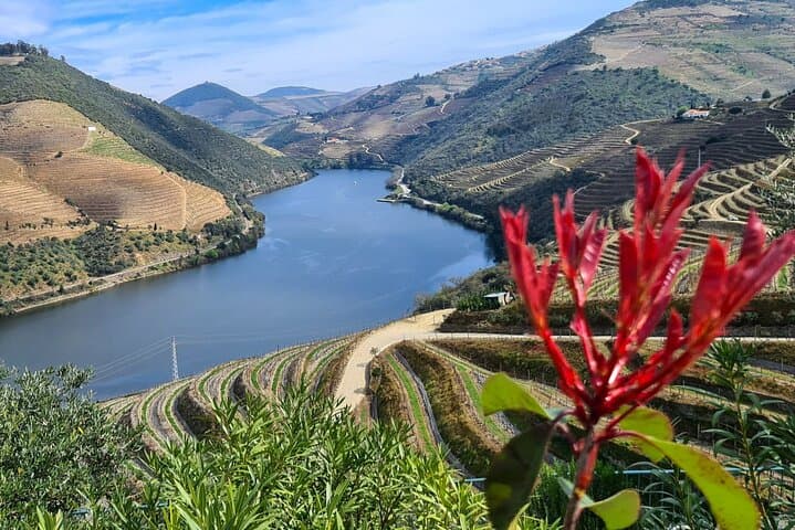 Douro Valley Private Full-Day Tour: 3 Wineries & Casal de Loivos Viewpoint photo 2
