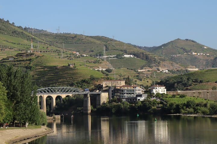 Douro Valley Private Full-Day Tour: 3 Wineries & Casal de Loivos Viewpoint photo 4
