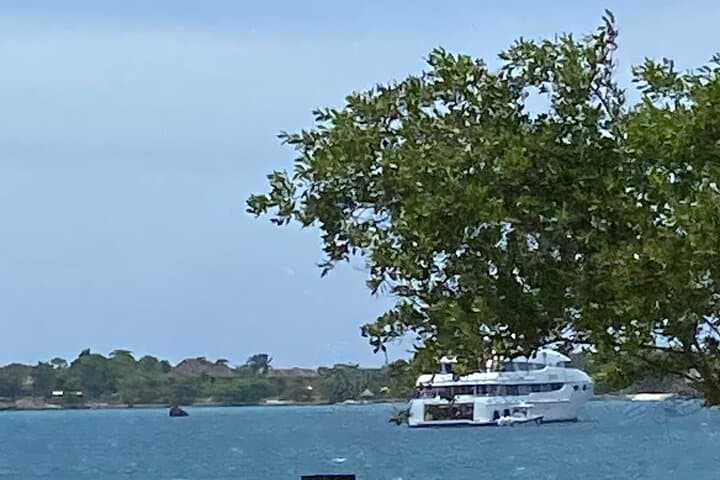 Negril Party Catamaran Cruise: 4-Hour Snorkel, Open Bar & Rick's Cafe Stop photo 6