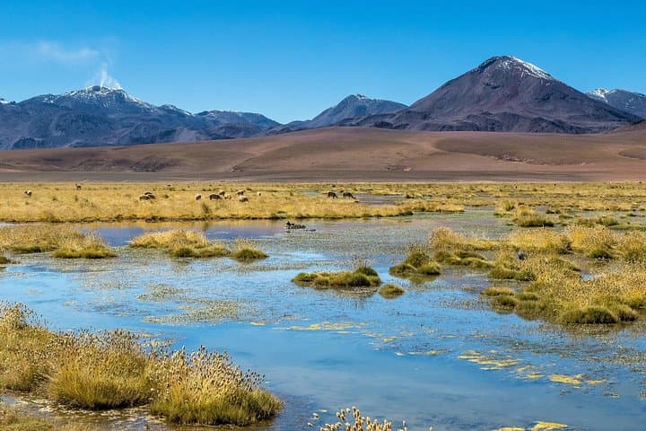 Sunrise at El Tatio: Private Tour to Geysers, Caspana & Inca Coya photo 4