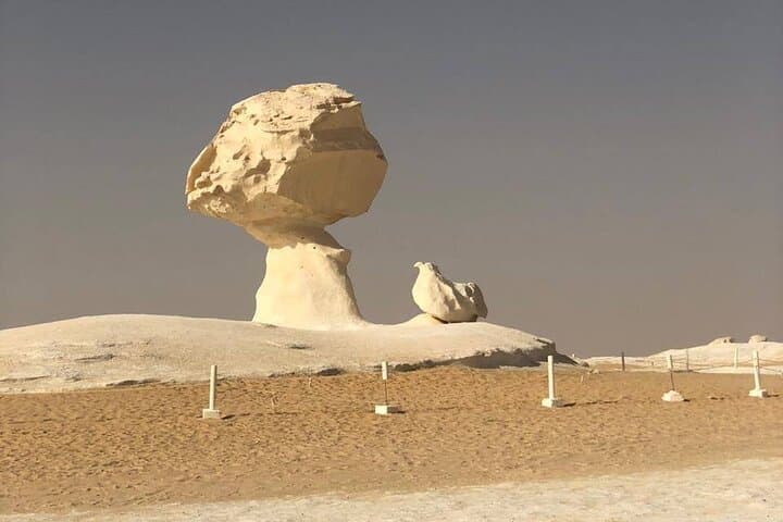 2-Day White Desert & Bahariya Oasis Camping Tour from Cairo photo 3