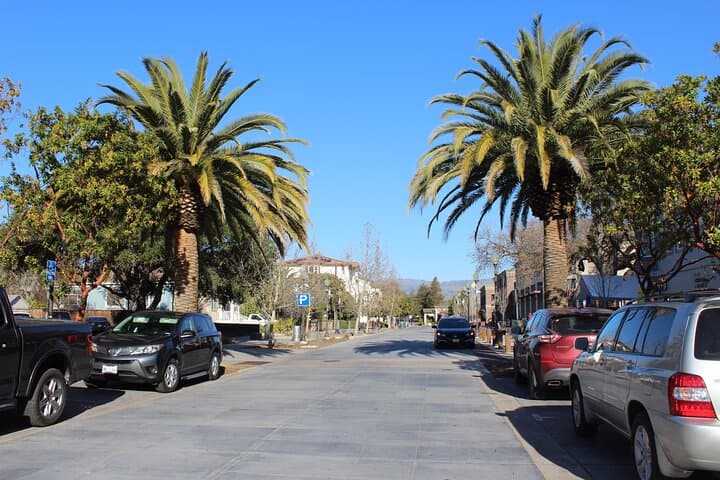 Morgan Hill Missing Gem Quest: Self-Guided City Exploration Game photo 3