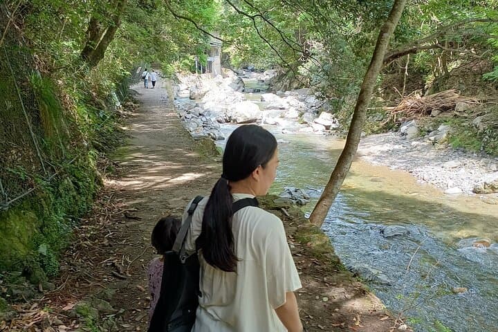 Settsukyo Gorge River Hike & Natural Onsen — Day Trip from Osaka photo 2