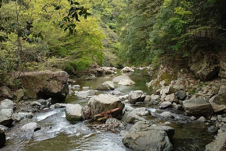 Settsukyo Gorge River Hike & Natural Onsen — Day Trip from Osaka photo 3