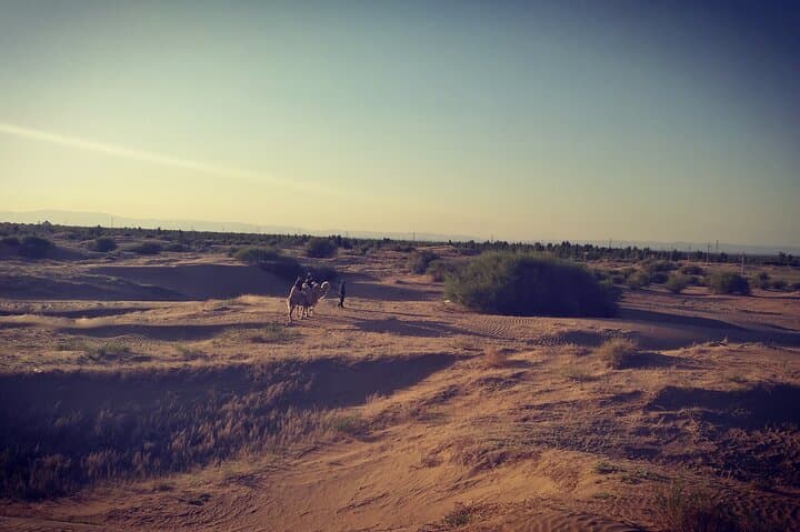 4-Day Inner Mongolia Huitengxile Grassland, Wulanhada Volcano & Kubuqi Desert Tour photo 4