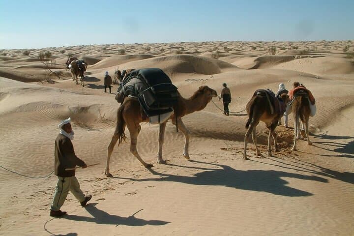 2-Day Tunisian Sahara Tour from Hammamet — El Jem, Matmata & Douz