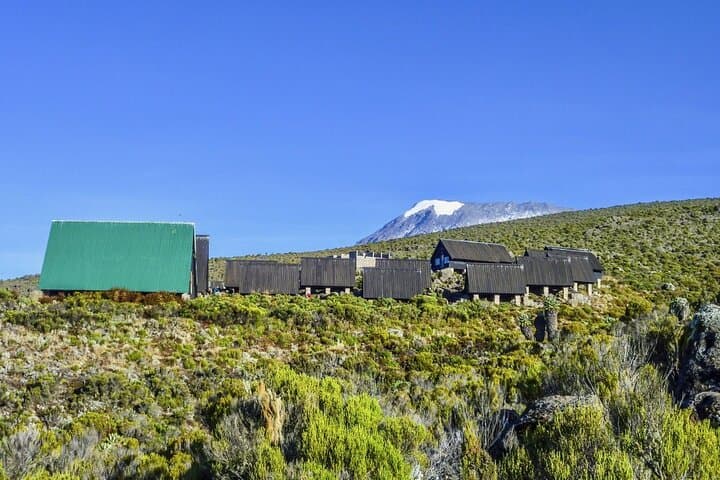 Day Hike to Mandara Hut on Kilimanjaro’s Marangu Route — A One-Day Trek Preview photo 3