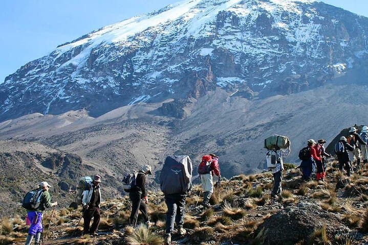 Kilimanjaro Machame Route: 6-Day Guided Summit Trek photo 4