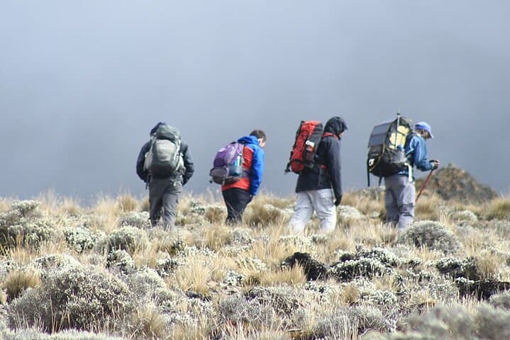 Kilimanjaro Machame Route: 6-Day Guided Summit Trek photo 5