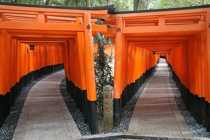 Tokyo to Kyoto by Bullet Train: 1-Day English-Guided Tour photo 3