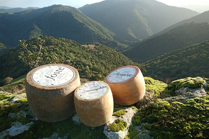Raw Milk Cheese Tasting in Mandrolisai, Sardinia — Artisanal Dairy Visit & Tasting photo 2