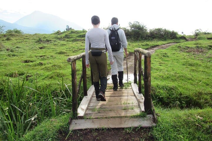 3-Day Private Golden Monkey Trek in Volcanoes National Park, Rwanda photo 3