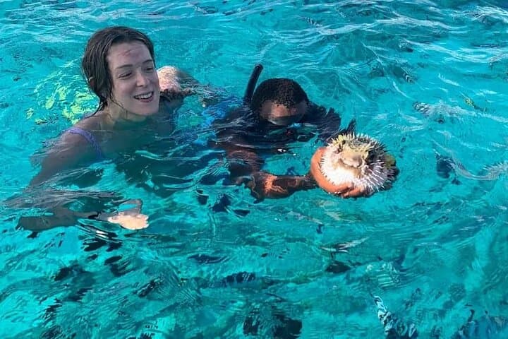 Mnemba Dolphins Snorkeling & Nungwi Turtle Swim — Full-Day Tour with Sunset photo 5