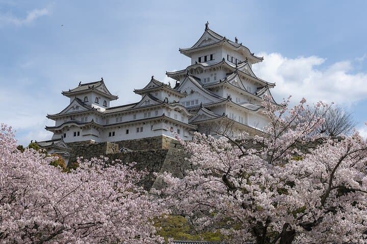 10-day-private-best-of-japan-tour-60-attractions photo 4