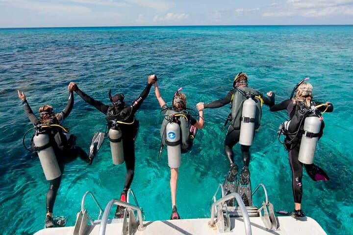 Catalina Island Diving Tour: Two Scuba Dives from Punta Cana with Lunch photo 4