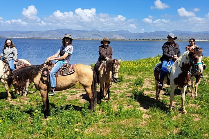 Desert Trails Combo Ride: Horseback from Hills to Beach near Ensenada