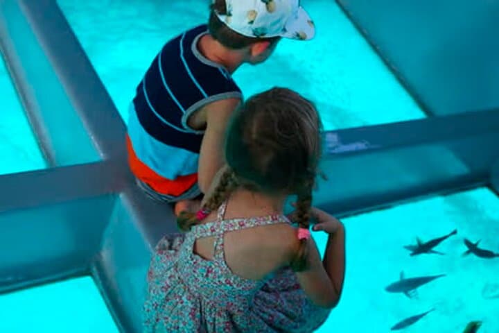 Explore Under the Sea without Getting Wet: Glass Boat Tour in Punta Cana photo 2