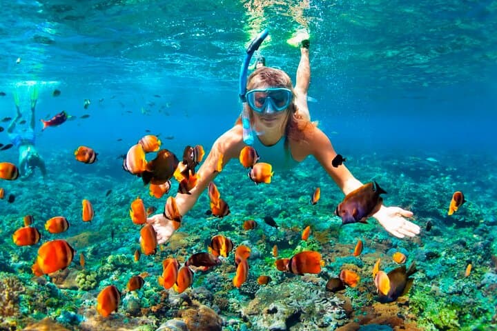 Explore Under the Sea without Getting Wet: Glass Boat Tour in Punta Cana photo 6