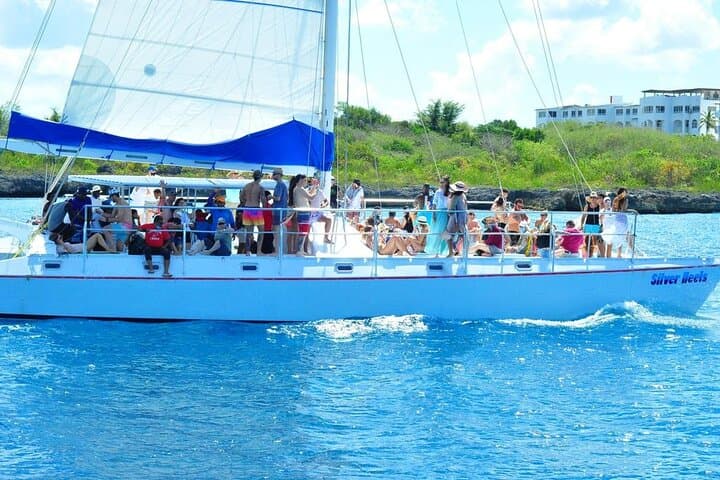 Saona Island Day Trip: Natural Pool, Catamaran Return & Beach Lunch photo 2