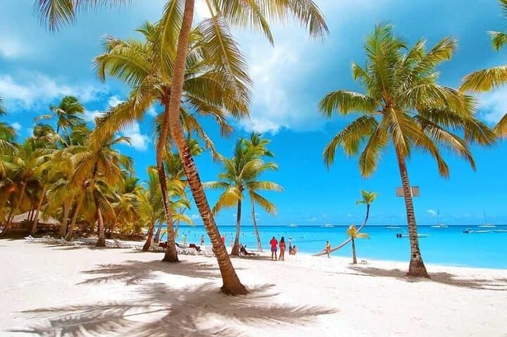 Saona Island Day Trip: Natural Pool, Catamaran Return & Beach Lunch photo 6