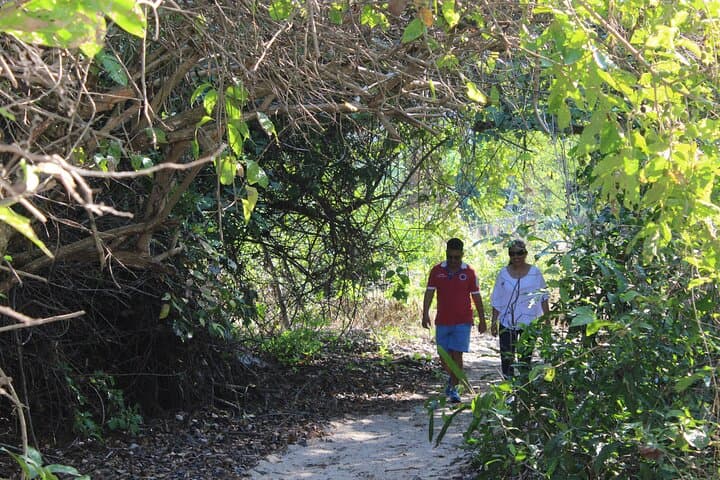 Huatulco Hiking, Viewpoints & Snorkeling: Santa Cruz Bay to El Órgano photo 6