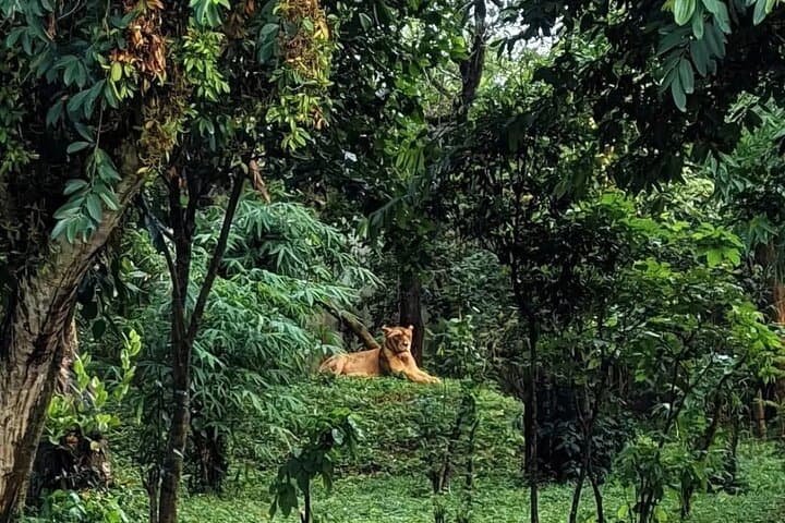 Bhubaneswar in a Day — Temples, Caves, Wildlife and Local Flavors photo 4