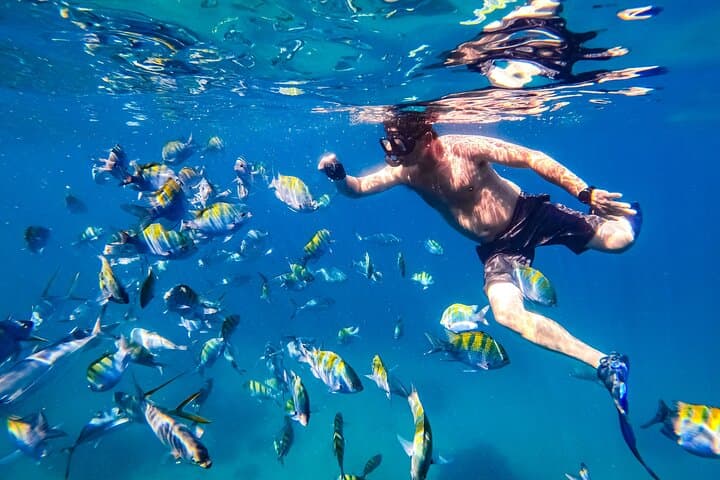 Luxury Yacht Snorkel to Majahuitas with Open Bar & Lunch — Puerto Vallarta Day Cruise photo 2
