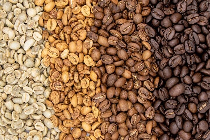 Coffee Plantation Tour in Sámara — Reserva El Toledo Tasting & Farm Visit