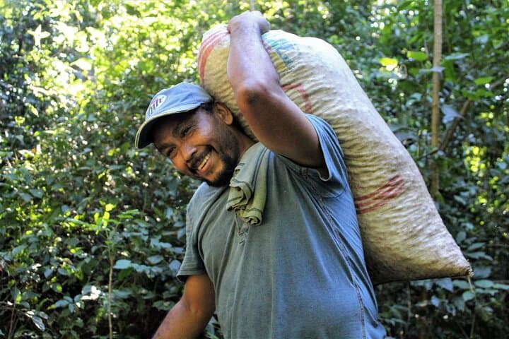 Coffee Plantation Tour in Sámara — Reserva El Toledo Tasting & Farm Visit photo 4